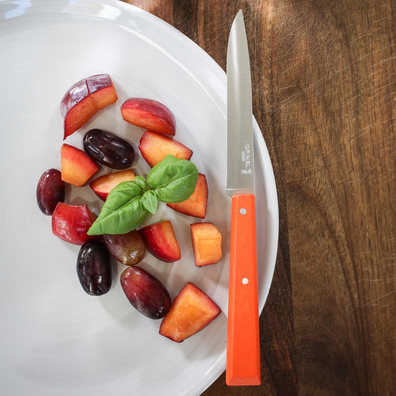 OPINEL No. 125 Table Knives, 4 Piece Set, High Carbon Steel Dinner Knives for Parties, Entertaining, or Everyday Use, Painted Hornbeam Handles, Made in France (POP) - Image 5